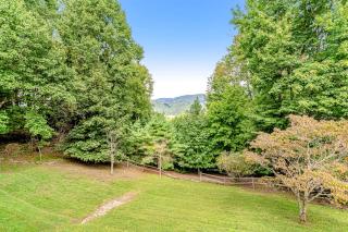 Pecky Vista - Boone - 7