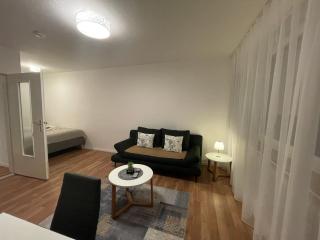 Adriana Apartment , Free Parking - Baden-Baden - 9