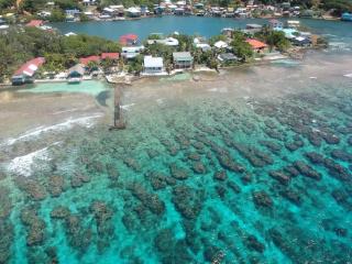 Ocean Breeze Villa Rentals - Oak Ridge - 7