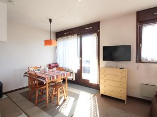 Studio 4 pers à 100m des pistes, proche commerces - FR-1-572-219 - Arâches-la-Frasse - 0