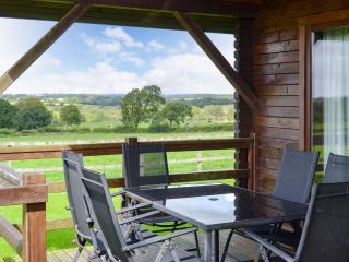 Dartmoor - Uk12537 - Witheridge - 1