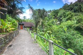 Bali Jungle Resort - Tegalalang - 8