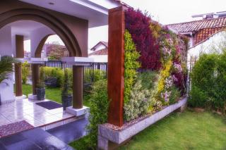 Villa Emilia Hostal - 8