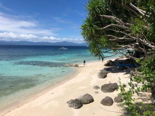 Tipolo Beach Resort - Moalboal - 8