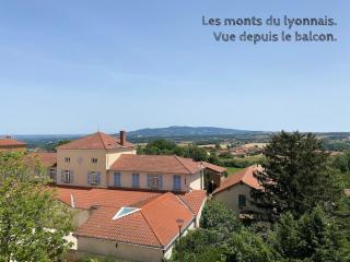 Appart & Fleurinoise balcon ascenseur climatisation - Fleurieux-sur-lʼArbresle - 4
