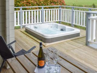Birch Lodge - Uk30006 - Lindal in Furness - 4