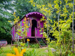 Gypsy Wagons and Vans, Clarens - Clarens - 9
