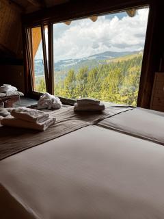 Brunarica Macesen Smogavc - 8