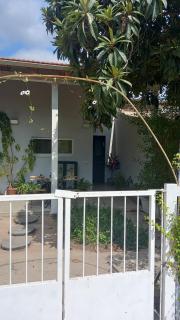 בלומינג-Bluming - 3