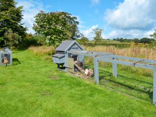 The Hen House At The Old Parsonage - 3