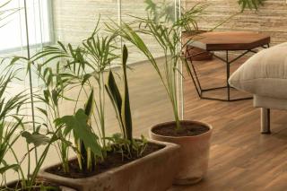 Lovely 2-Bed Apartment in Tulum with Private Pool - 3