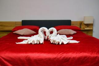 Lovely 2 bedroom apartment in the City Centre of Oradea - 8