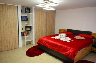 Lovely 2 bedroom apartment in the City Centre of Oradea - 9