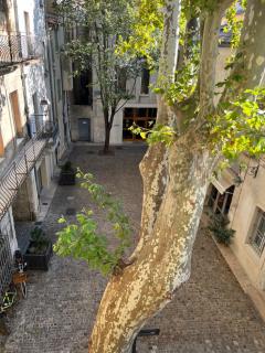 La charmante du Palais 2 chambres - 3