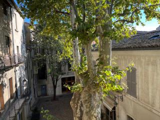 La charmante du Palais 2 chambres - Avignone - 0