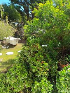 Self Catering Unit 6, Sandbaai - Hermanus - 8