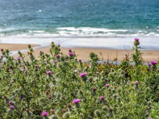 Killantrae Burn - Port William - 5