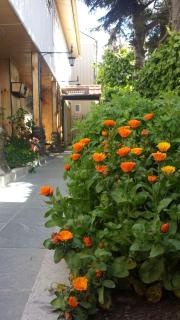 Hostal Parediso - 1