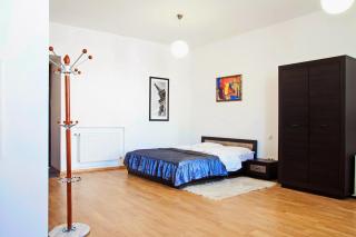 Apartment in the centre of Lviv - 6