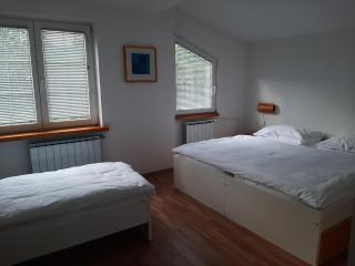 Apartment Zupan - Maribor - 1