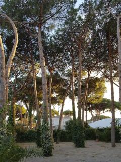 Enjoy your holidays 300m to the Mediterranean sea at Villa DIVALI - Castelldefels - 4
