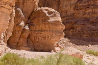 Star Magic Camp - Wadi Rum - 9