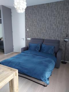 Bed & Wellness Boxtel, luxe kamer met airco en eigen badkamer - Boxtel - 3