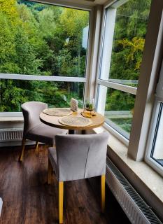 Apartament Kurort Kozubnik Wilcza Wataha - Porąbka - 8