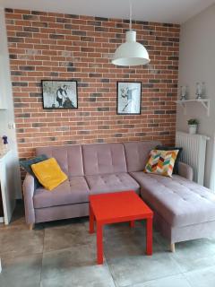 Apartament Łodzianka - Łódź - 2
