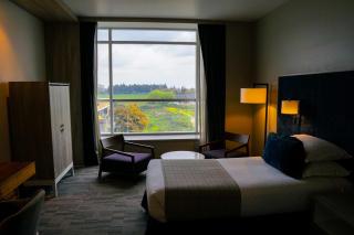 Hotel Parada Linares - 2