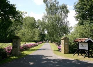 Landhotel Waldseiter Hof - Bad Bentheim - 9
