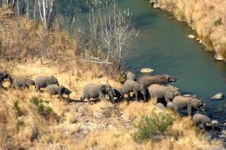 Esiweni Luxury Safari Lodge - 1