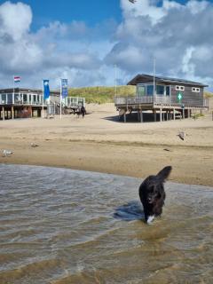 Meerblick Wattenmeer ,50m vom Meer,Strand 300m - 2