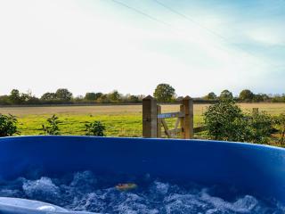 Morning Mist - Strensall - 9