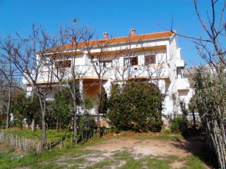 Apartments Krešimir beauty with shadow trees and parking place - Pag - 8