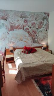 Two Bedroom Apartment in EAGLE ROCK Mountain Resort - 4