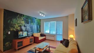 Two Bedroom Apartment in EAGLE ROCK Mountain Resort - Beli Iskar - 8