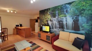 Two Bedroom Apartment in EAGLE ROCK Mountain Resort - 9