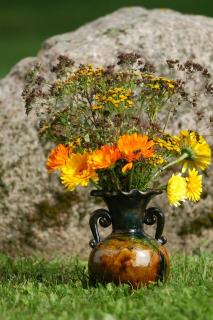 Atpūtas vieta Upes Sausītes - 5