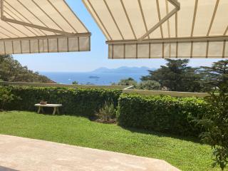 Appartement - villa Le Saint Georges avec superbe jardin et vue mer panoramique - Cannes - 1