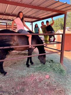 The Deer Suite - Horses SEDONAS MOST LOVED - Sedona - 4