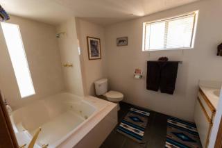 The Mountain Lion - horses SEDONA'S MOST LOVED - 7