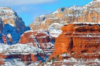 The Mountain Lion - horses SEDONA'S MOST LOVED - Sedona - 2