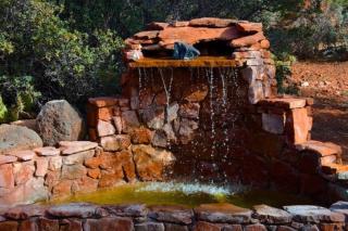 The Mountain Lion - horses SEDONA'S MOST LOVED - Sedona - 4