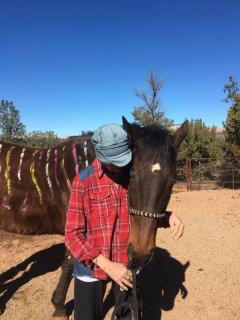 The Mountain Lion - horses SEDONA'S MOST LOVED - Sedona - 5