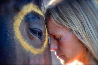 The Mountain Lion - horses SEDONA'S MOST LOVED - Sedona - 6