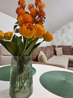 AS Delux Apartmani - 6