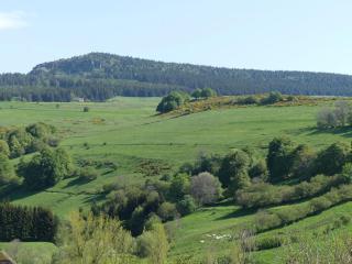 Gîte paisible et chaleureux avec grande terrasse - activités nature et patrimoine à proximité - FR-1-582-143 - Les Estables - 3