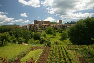 Allotjaments Plaça Major-Grèvol - Santa Pau - 1