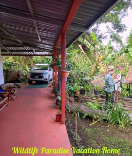 Wildlife Paradise - Monteverde Costa Rica - 7